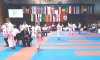 Міжнародний турнір з олімпійського карате