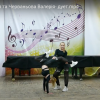 V міський конкурс хореографічного мистецтва Kyiv College Dance-2021