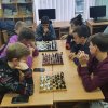 Вітаємо переможців шахового турніру  серед студентів Фахового коледжу «Універсум»