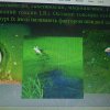 Наукова зустріч «Екологія водойм України»