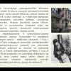 Кураторська година до Дня пам'яті жертв Голодоморів