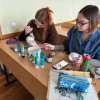 Майстер-клас з розпису новорічних кульок