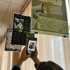 Виставка плакатів студентів IV курсу спеціальності “Графічний дизайн” до Дня Гідності та Свободи