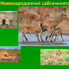 Гостьова лекція к.б.н., старшим дослідником, начальником наукового відділу НПП 