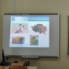 Тренінг для викладачів «Ресурсність як основа професійної реалізації педагога»