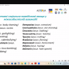 Участь у вебінарі від проєкту «Освіта без стресу» на тему «Булінг в освітніх середовищах: як протидіяти без агресії»