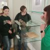 Виїзні заняття з української літератури та історії української літератури до Національного музею Тараса Шевченка у Києві
