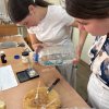 Засідання гуртка «Косметична хімія» (08.05.2026)